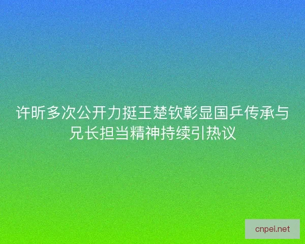 许昕多次公开力挺王楚钦彰显国乒传承与兄长担当精神持续引热议