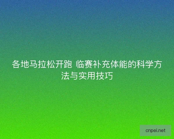 各地马拉松开跑 临赛补充体能的科学方法与实用技巧